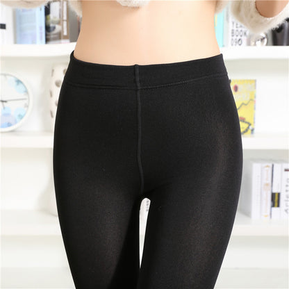 Autumn Korean single brushed Leggings nine all-match ladies tights back foot wholesale pantyhose